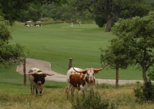 Canyon Springs Golf Golf Club (Image: Canyon Springs)